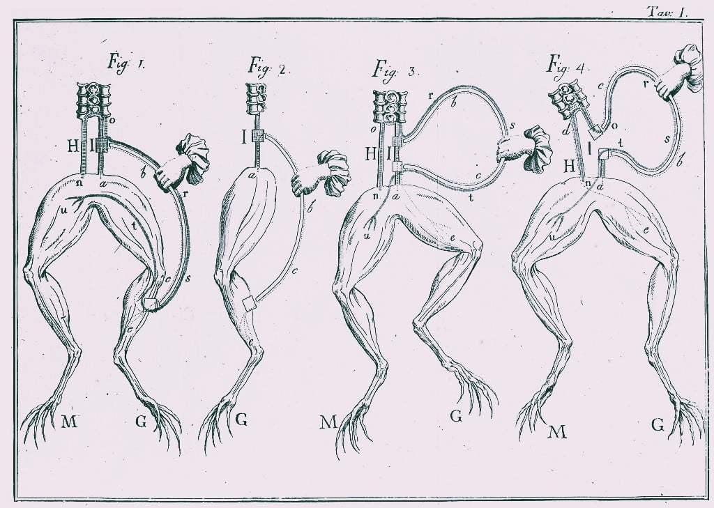 Luigi Galvani frog experiment