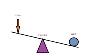 Read more about the article Unleashing the Power of Levers: Your Guide to Simple Machines