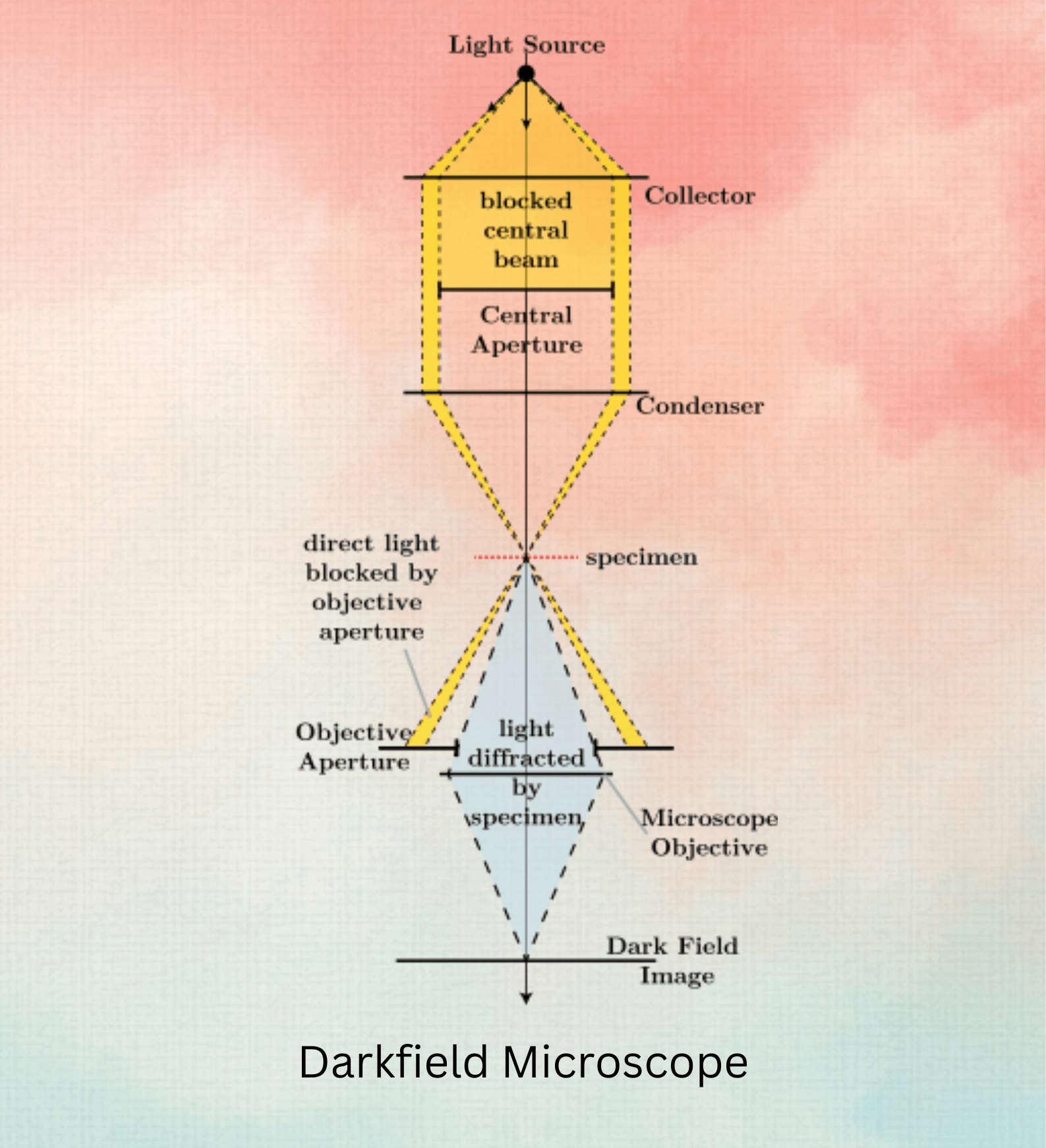 Darkfield Microscope