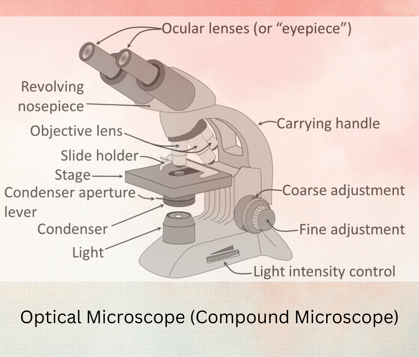 Parts of Optical Microscope (Compound Microscope)