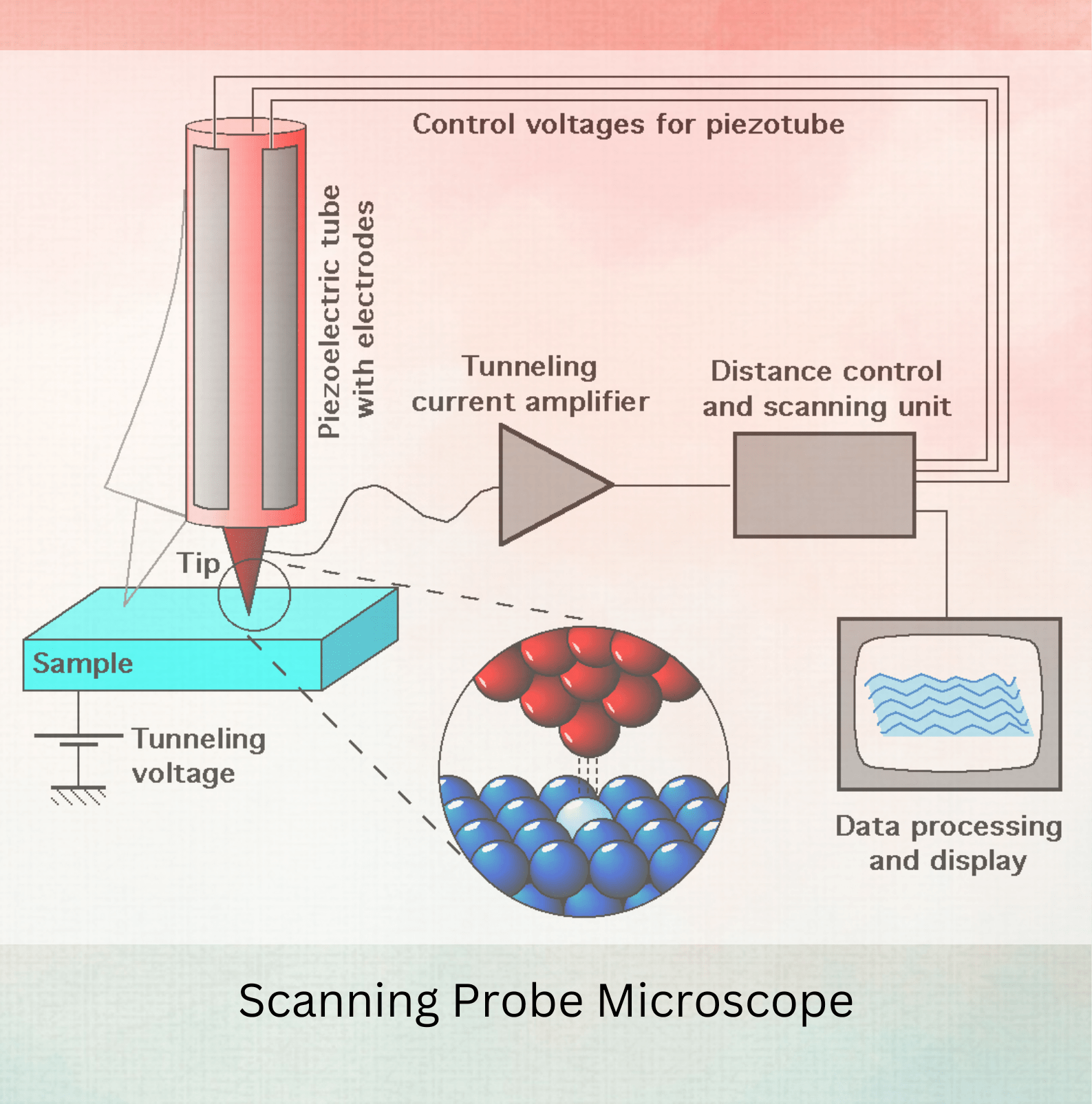 Scanning Probe Microscope