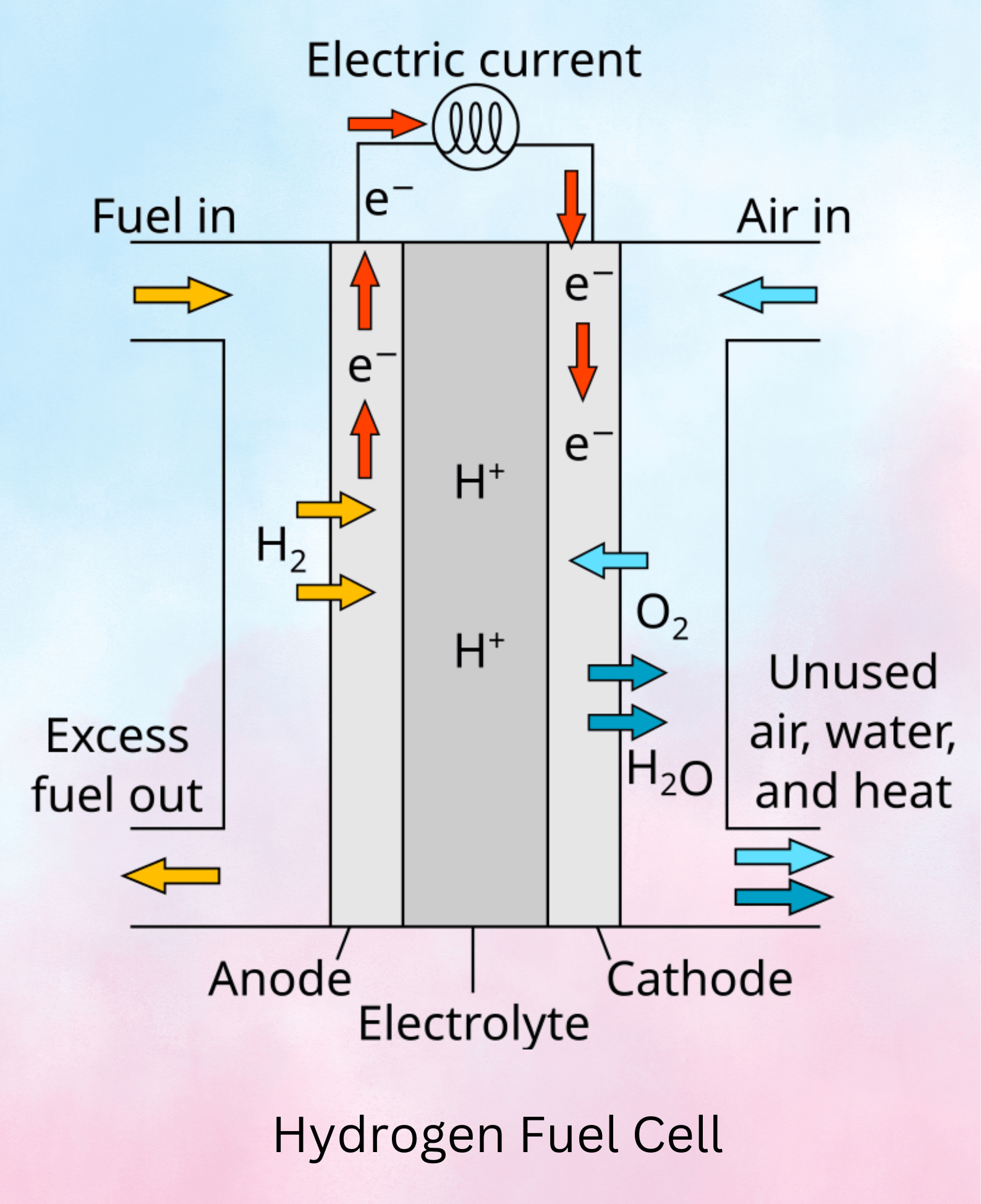 Hydrogen Fuel Cell
