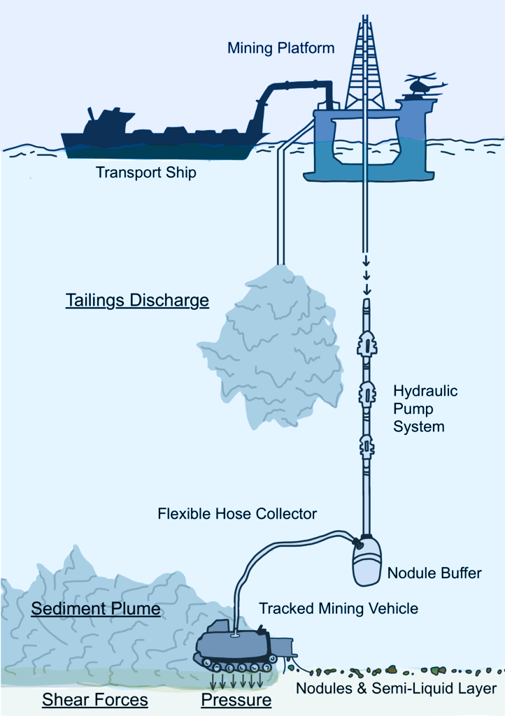 environmental damage due to deep sea mining