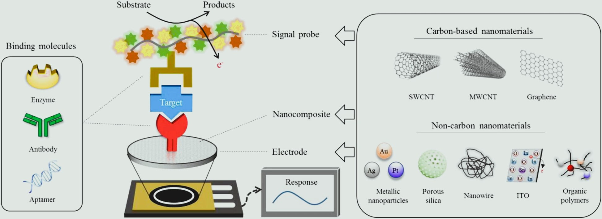 Graphene Biosensors.