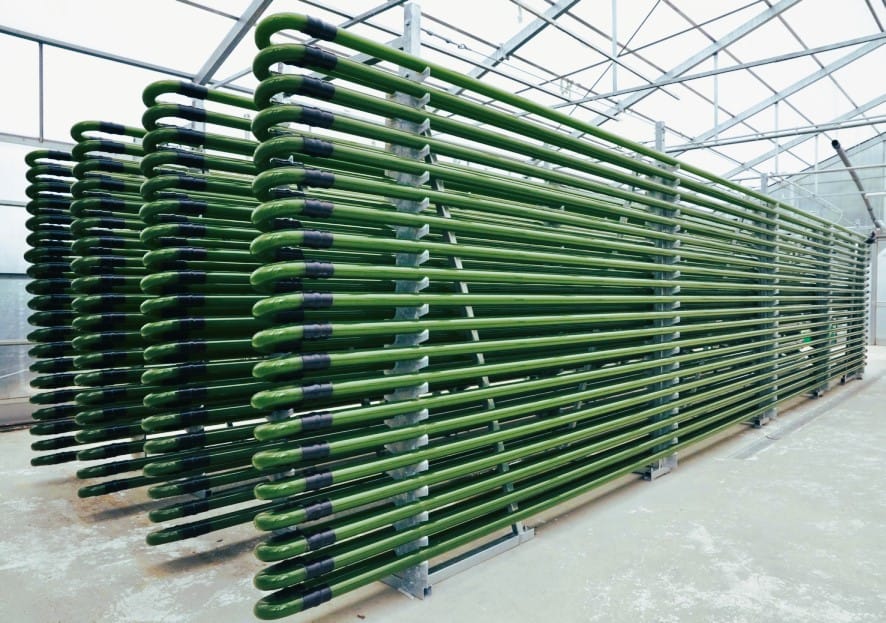 Micro Algae Biofuel