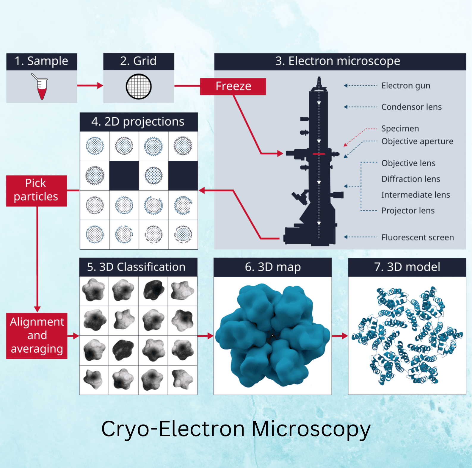 What is Cryo-Electron Microscopy