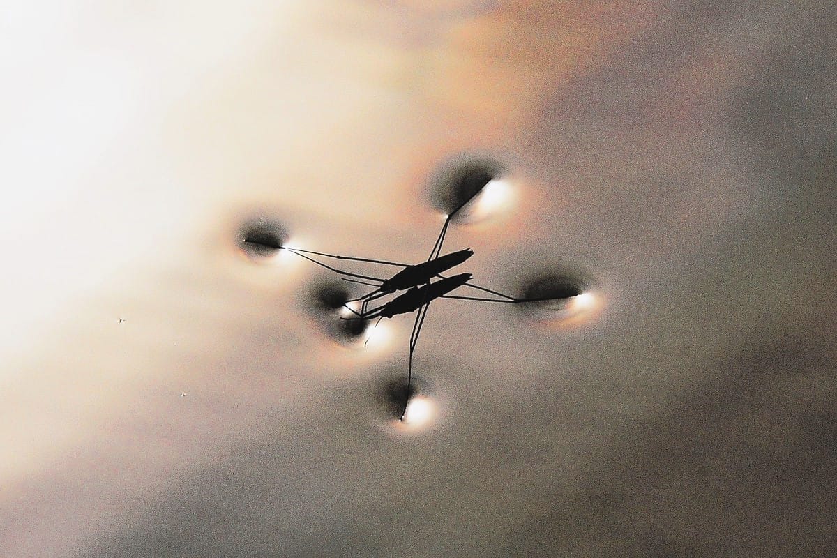 Water Striders Engineering Surface Tension