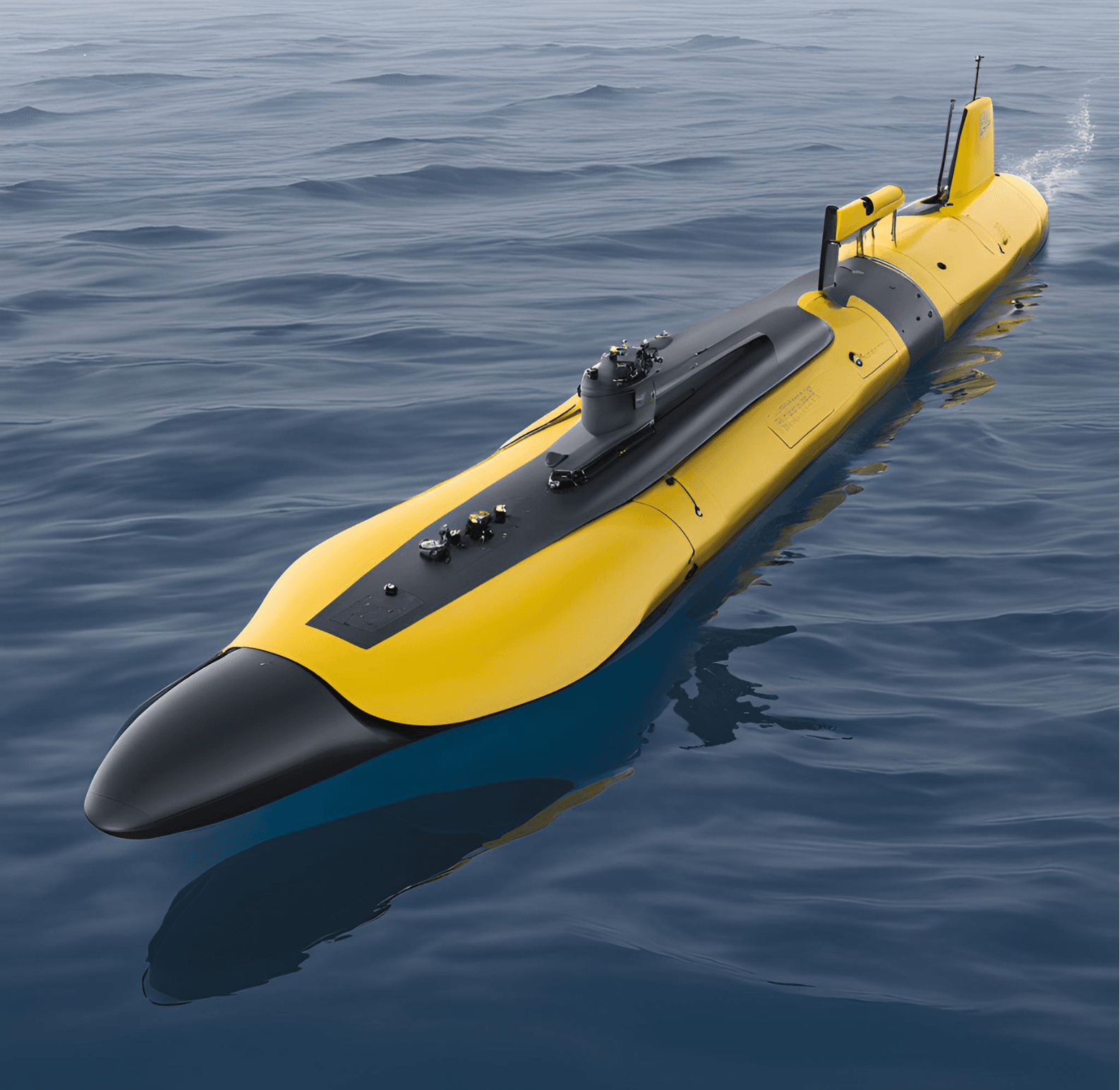 Autonomous Underwater Vehicles (AUVs)