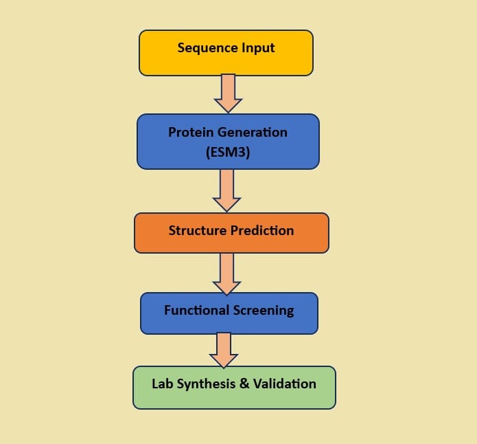 ESM3’s Design Workflow 